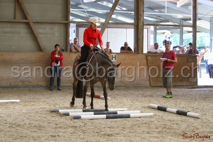 26-ApHC GT_174.jpg